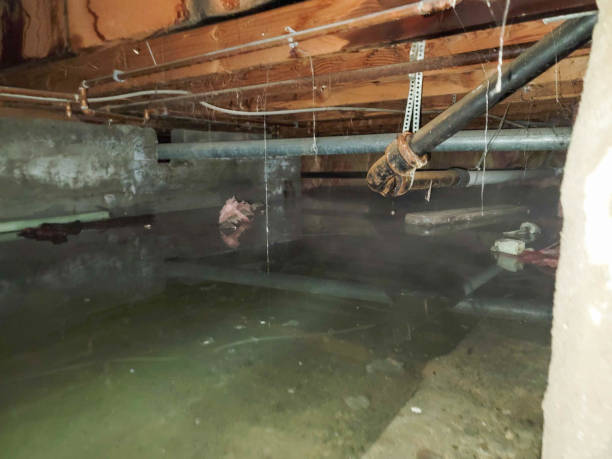 Best Water damage cleanup near me  in Byng, OK