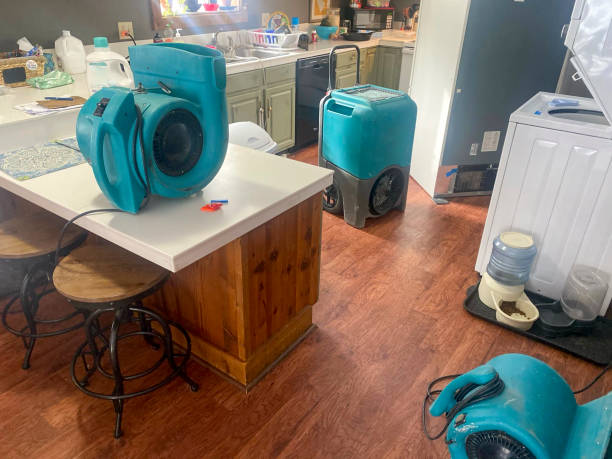 Best Fire Damage Restoration  in Byng, OK