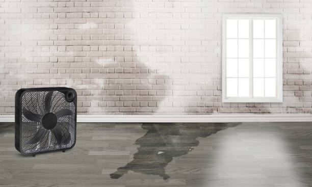 Local water damage restoration in OK