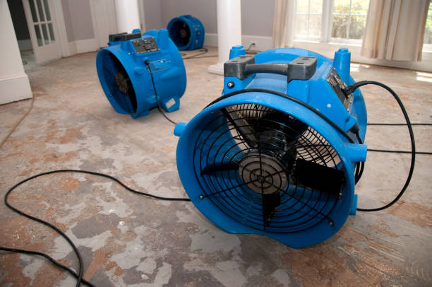Best Local water damage restoration  in Byng, OK