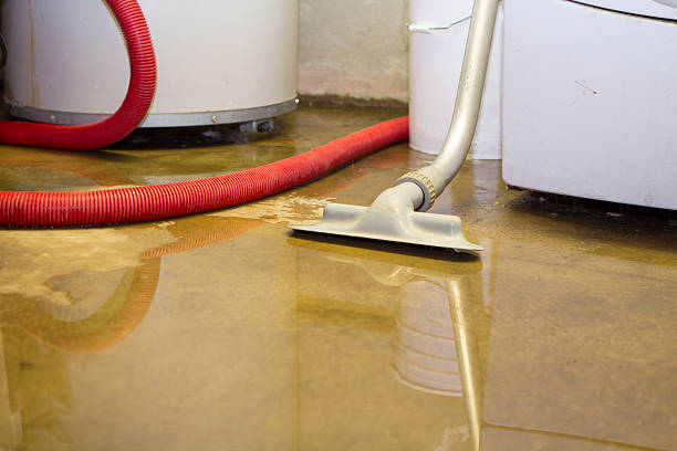 Best Basement water damage restoration  in Byng, OK