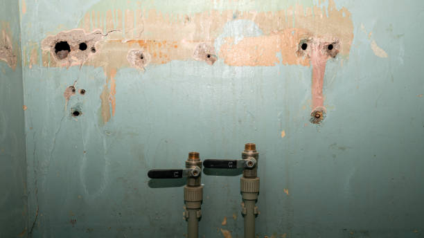 Water damage restoration process