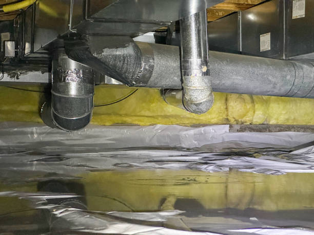 Best Flood restoration services  in Byng, OK