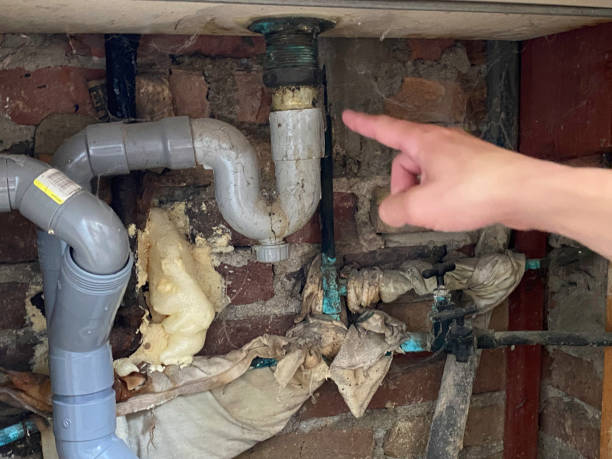 Best Water damage restoration cost  in Byng, OK